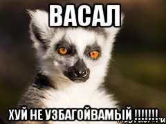 васал хуй не узбагойвамый !!!, Мем Я збагоен