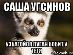 саша угсинов узбагойся пуган бобит у тегя, Мем Я збагоен