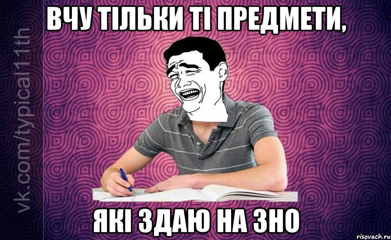 вчу тільки ті предмети, які здаю на зно