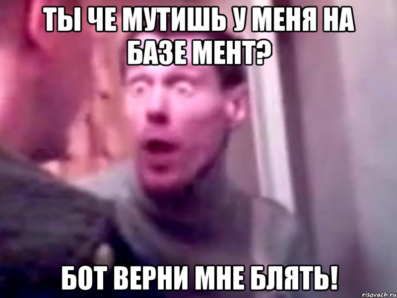 ты че мутишь у меня на базе мент? бот верни мне блять!, Мем Запили