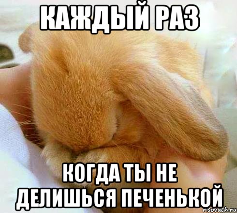 каждый раз когда ты не делишься печенькой, Мем  зайка плачет