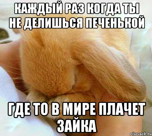 каждый раз когда ты не делишься печенькой где то в мире плачет зайка, Мем  зайка плачет