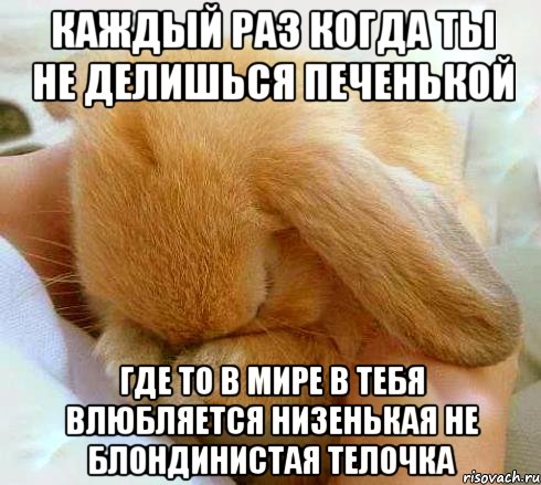 каждый раз когда ты не делишься печенькой где то в мире в тебя влюбляется низенькая не блондинистая телочка
