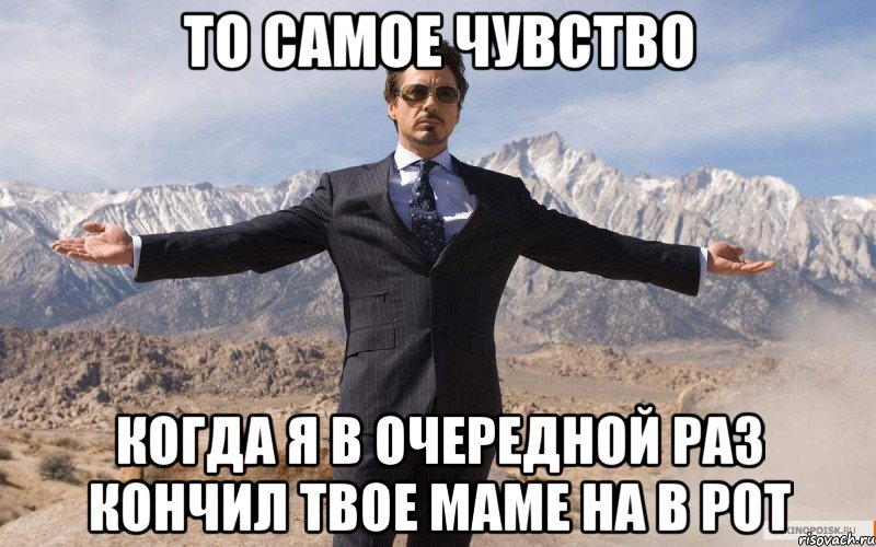 то самое чувство когда я в очередной раз кончил твое маме на в рот, Мем железный человек