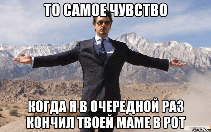 то самое чувство когда я в очередной раз кончил твоей маме в рот, Мем железный человек