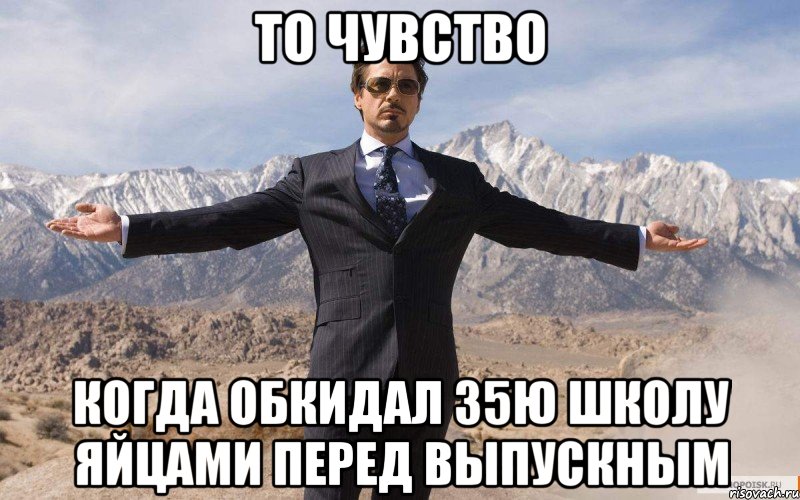 то чувство когда обкидал 35ю школу яйцами перед выпускным, Мем железный человек