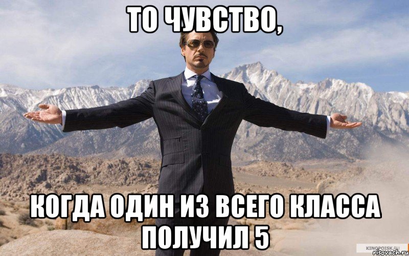 то чувство, когда один из всего класса получил 5, Мем железный человек