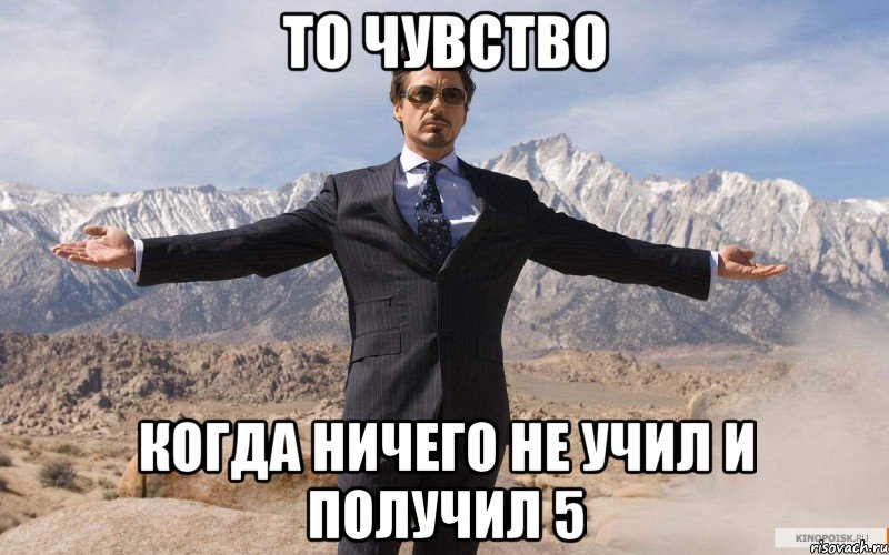 то чувство когда ничего не учил и получил 5, Мем железный человек