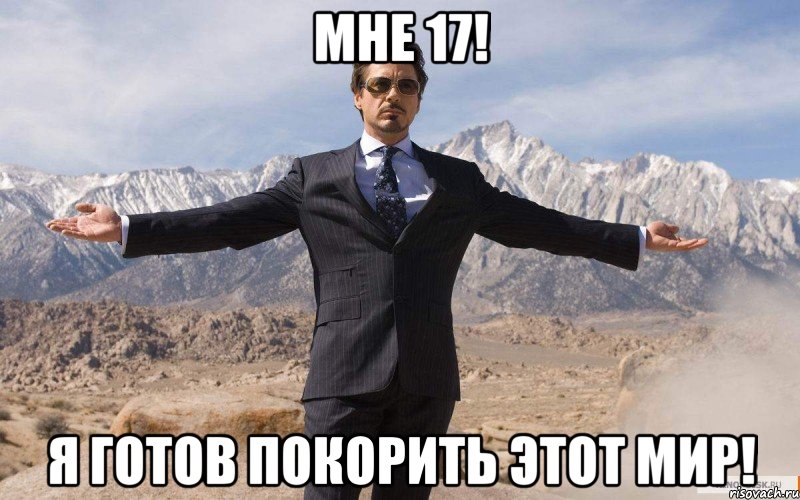 мне 17! я готов покорить этот мир!, Мем железный человек