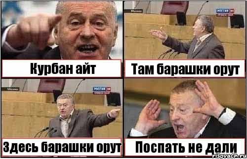 Курбан айт Там барашки орут Здесь барашки орут Поспать не дали, Комикс жиреновский