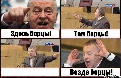 Здесь борцы! Там борцы!  Везде борцы!, Комикс жиреновский