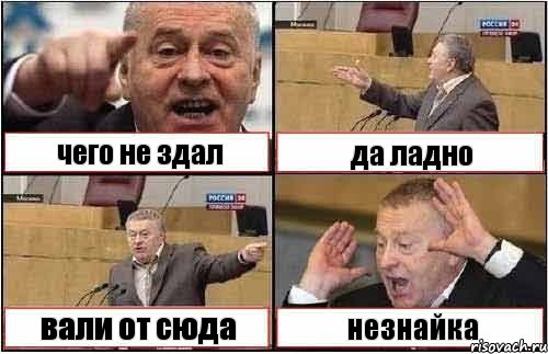 чего не здал да ладно вали от сюда незнайка, Комикс жиреновский