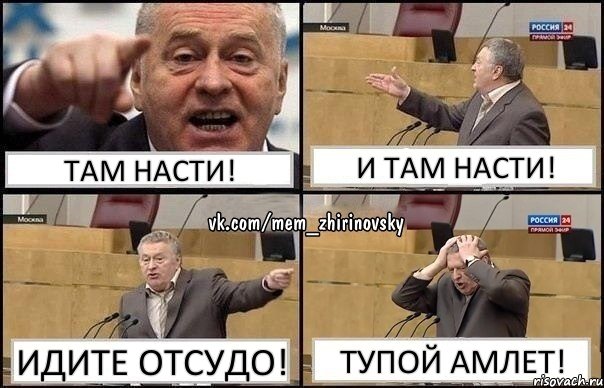 Там насти! и там насти! идите отсудо! тупой амлет!, Комикс Жирик