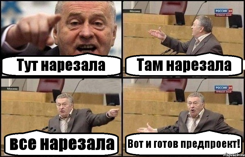 Тут нарезала Там нарезала все нарезала Вот и готов предпроект!, Комикс Жириновский