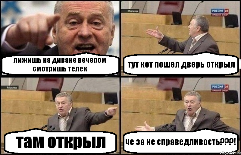 лижишь на диване вечером смотришь телек тут кот пошел дверь открыл там открыл че за не справедливость???!, Комикс Жириновский