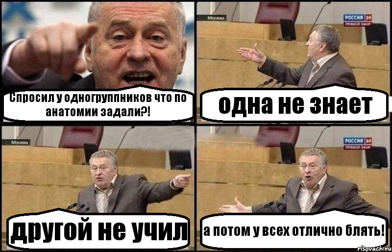 Спросил у одногруппников что по анатомии задали?! одна не знает другой не учил а потом у всех отлично блять!, Комикс Жириновский