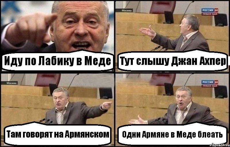 Иду по Лабику в Меде Тут слышу Джан Ахпер Там говорят на Армянском Одни Армяне в Меде блеать, Комикс Жириновский