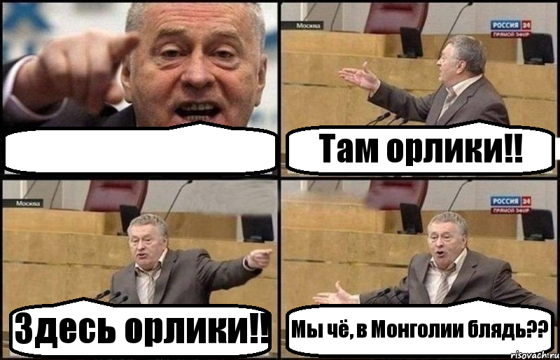  Там орлики!! Здесь орлики!! Мы чё, в Монголии блядь??