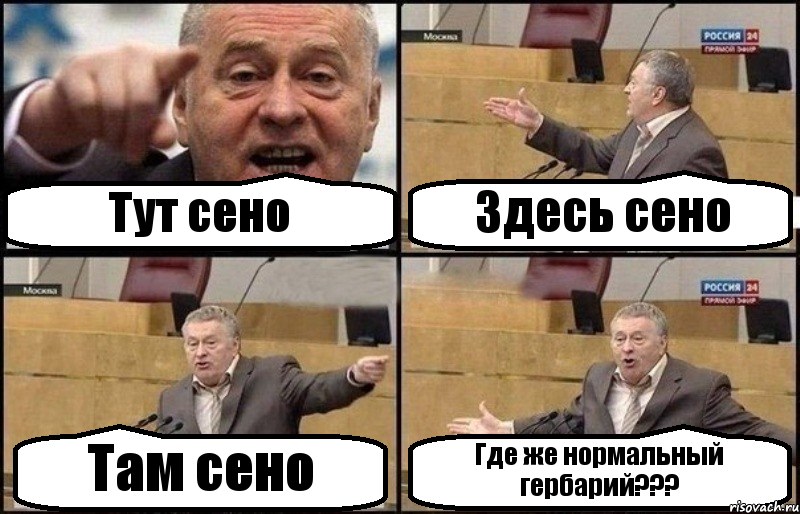 Тут сено Здесь сено Там сено Где же нормальный гербарий???