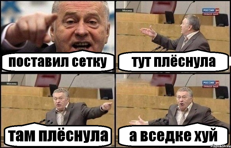 поставил сетку тут плёснула там плёснула а вседке хуй, Комикс Жириновский