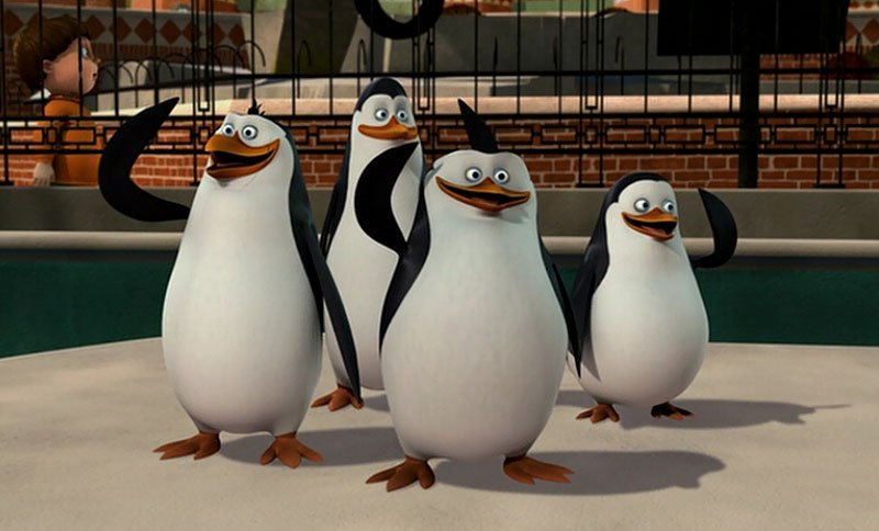  пингвины Мадагаскара шаблон