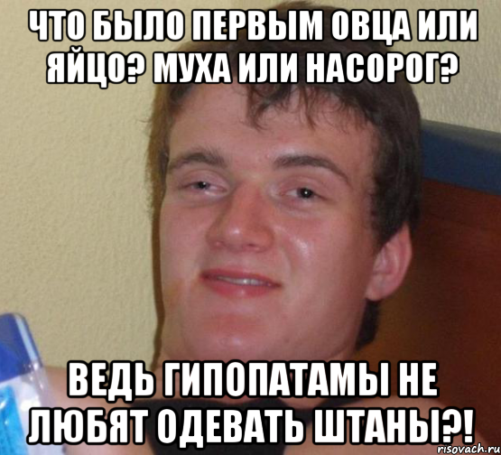 Что было первым овца или яйцо? Муха или насорог? Ведь гипопатамы не любят одевать штаны?!, Мем 10 guy (Stoner Stanley really high guy укуренный парень)