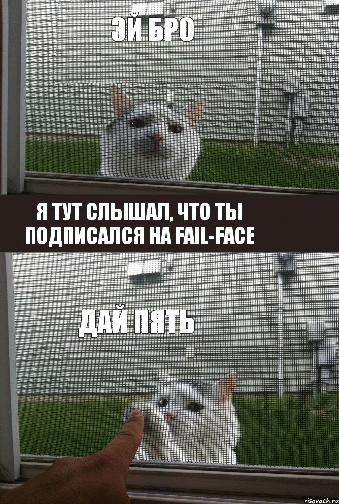 эй бро я тут слышал, что ты подписался на FAIL-FACE дай пять