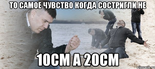 ТО самое чувство когда состригли не 10см а 20см