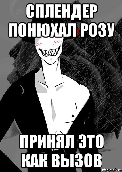 сплендер понюхал розу принял это как вызов