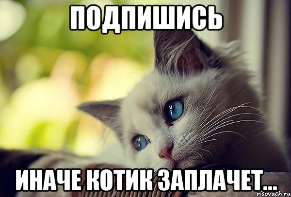 Подпишись иначе котик заплачет...