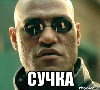  сучка, Мем  а что если я скажу тебе