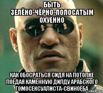 быть зелёно-чёрно-полосатым охуенно как обосраться сидя на потолке поедая каменную дилду арабского гомосексуалиста-свиноёба, Мем  а что если я скажу тебе