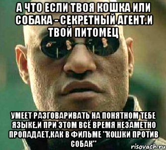 а что если твоя кошка или собака - секретный агент.и твой питомец умеет разговаривать на понятном тебе языке.и при этом всё время незаметно пропадает,как в фильме "кошки против собак"