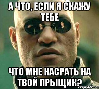 а что, если я скажу тебе что мне насрать на твой прыщик?, Мем  а что если я скажу тебе