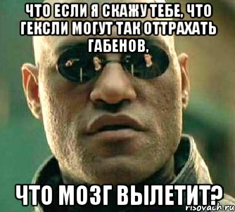 что если я скажу тебе, что гексли могут так оттрахать габенов, что мозг вылетит?, Мем  а что если я скажу тебе