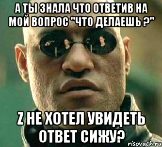 а ты знала что ответив на мой вопрос "что делаешь ?" z не хотел увидеть ответ сижу?, Мем  а что если я скажу тебе