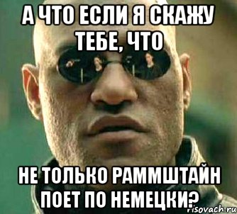 а что если я скажу тебе, что не только раммштайн поет по немецки?, Мем  а что если я скажу тебе