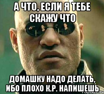 а что, если я тебе скажу что домашку надо делать, ибо плохо к.р. напишешь, Мем  а что если я скажу тебе