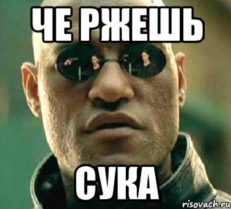 ЧЕ РЖЕШЬ СУКА, Мем  а что если я скажу тебе