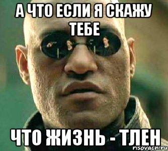 А что если я скажу тебе что жизнь - ТЛЕН