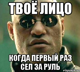 твоё лицо когда первый раз сел за руль, Мем  а что если я скажу тебе