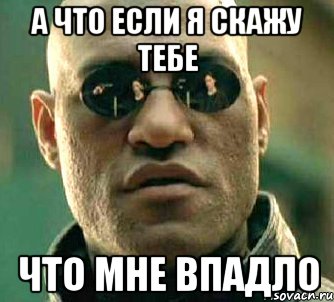 а что если я скажу тебе что мне впадло, Мем  а что если я скажу тебе