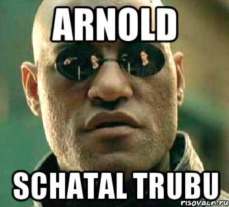 arnold schatal trubu, Мем  а что если я скажу тебе