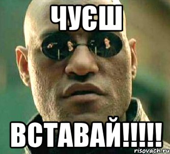 чуєш вставай!!!!!, Мем  а что если я скажу тебе