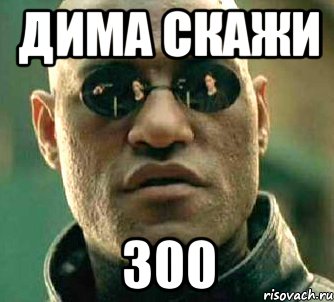 Дима скажи 300, Мем  а что если я скажу тебе