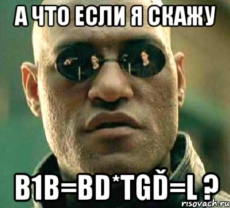 А что если я скажу B1B=BD*tgď=l ?, Мем  а что если я скажу тебе