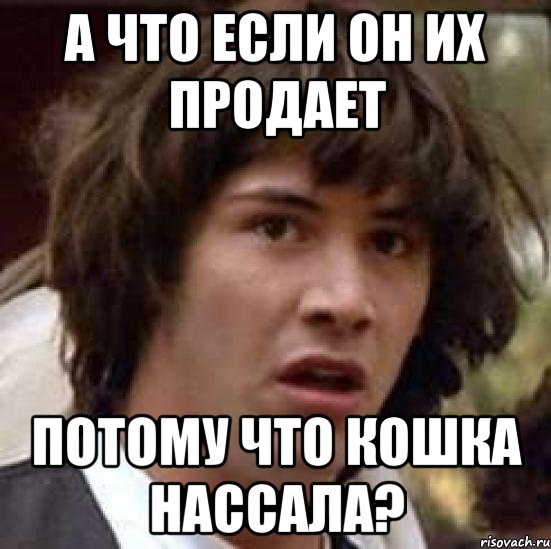 А что если он их продает потому что кошка нассала?, Мем А что если (Киану Ривз)