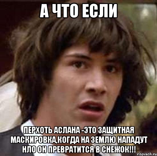 А что если Перхоть Аслана -это защитная маскировка,когда на землю нападут нло он превратится в снежок!!!, Мем А что если (Киану Ривз)