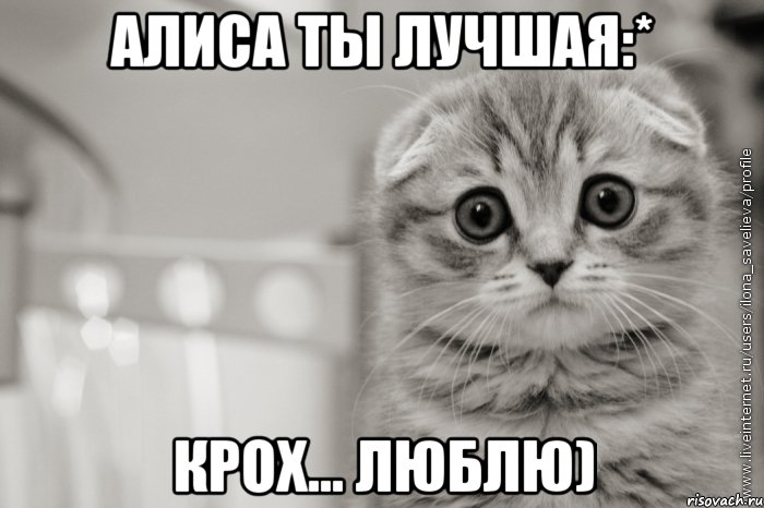 алиса ты лучшая:* крох... люблю), Мем А я Люблю Алису