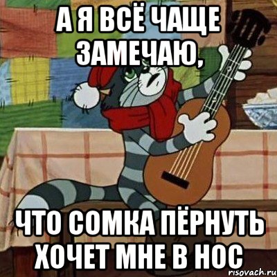 А я всё чаще замечаю, что Сомка пёрнуть хочет мне в нос, Мем Кот Матроскин с гитарой